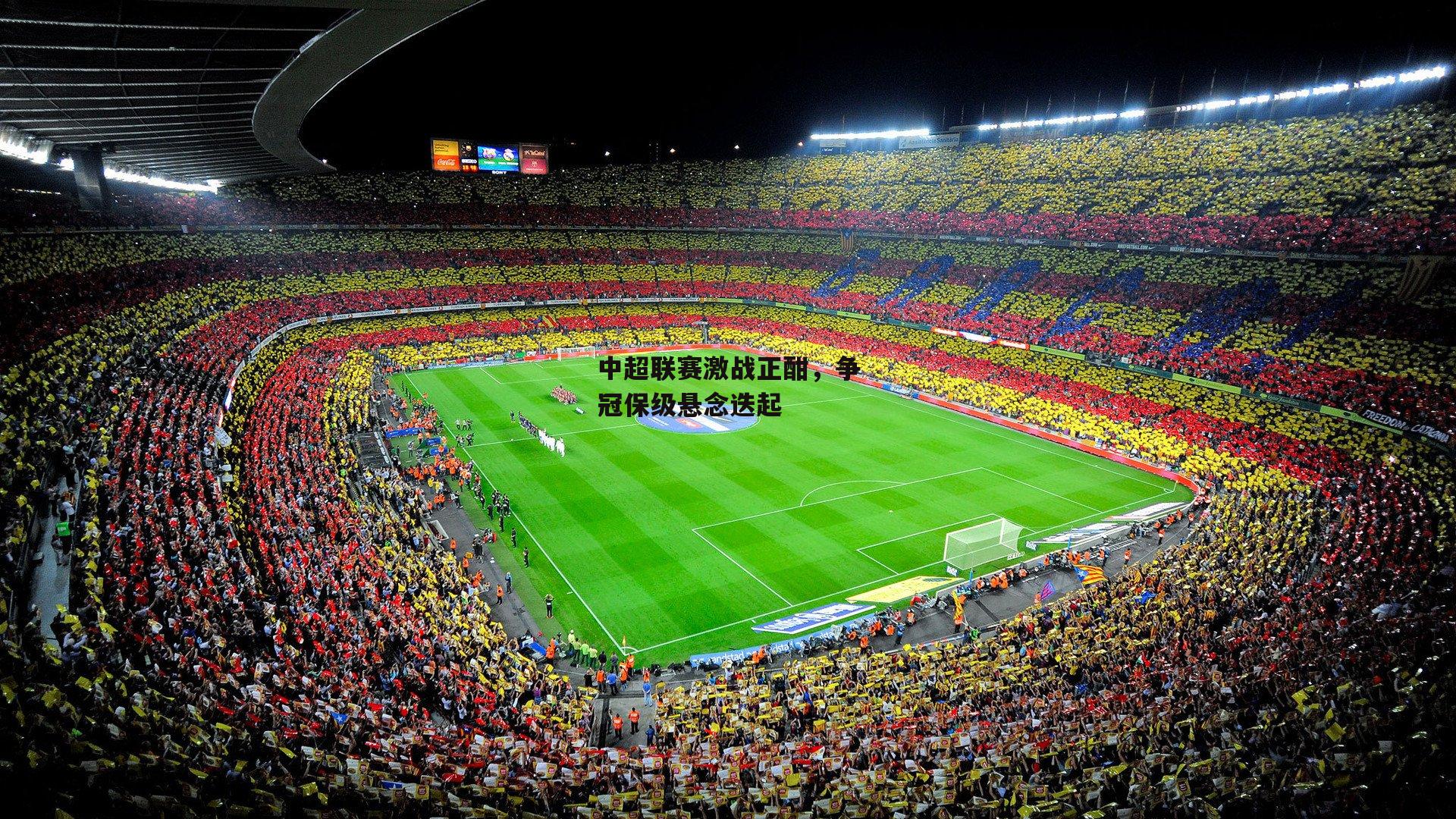 半岛体育APP-中超联赛激战正酣，争冠保级悬念迭起